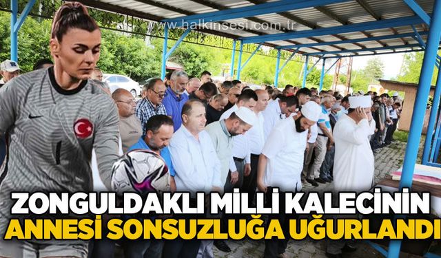 Spor