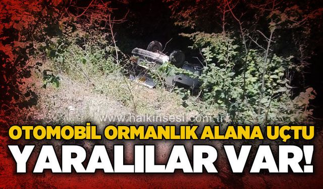 Otomobil ormanlık alana uçtu: Yaralılar var