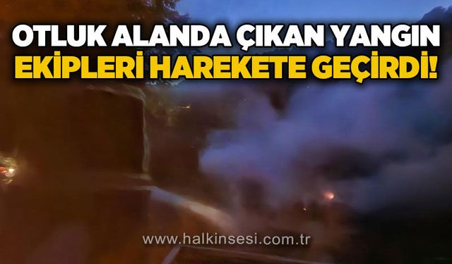 Bartın