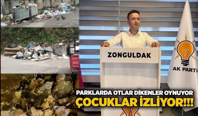 Parklarda otlar dikenler oynuyor, çocuklar izliyor!!!