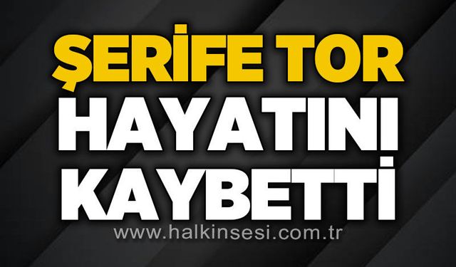 Devrek