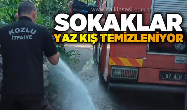 Kozlu