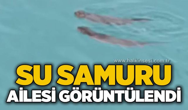 Zonguldak