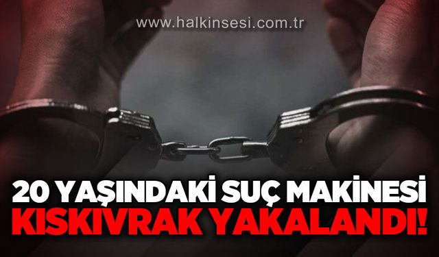 Düzce