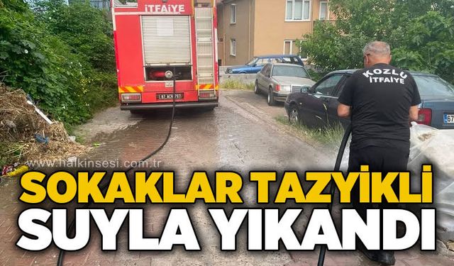 Kozlu