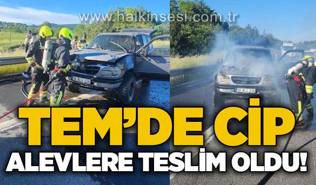 TEM'de cip alevlere teslim oldu