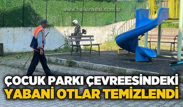 Gökçebey