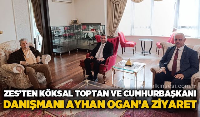 Spor