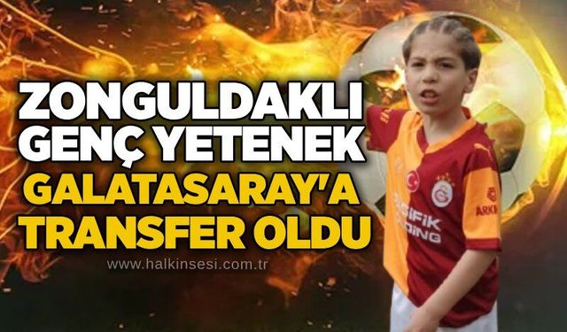 Spor