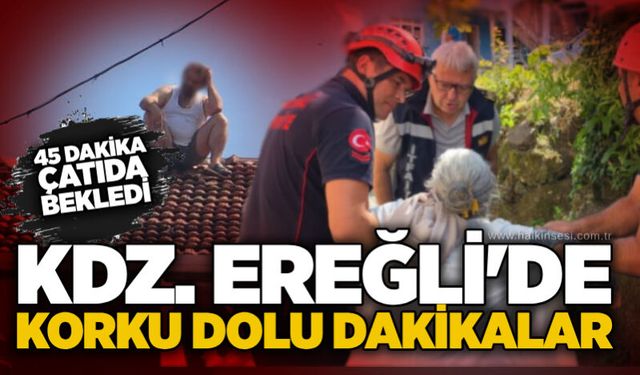 KDZ. Ereğli