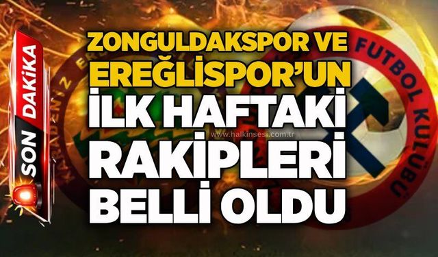 Spor