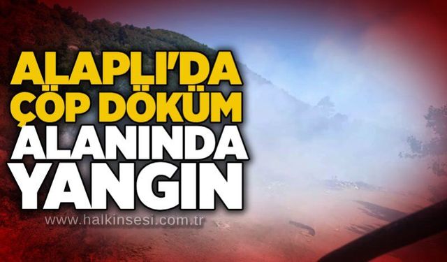 Alaplı'da çöp döküm alanında yangın