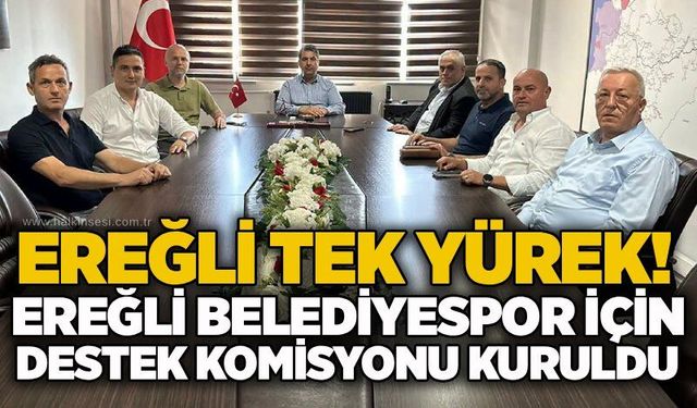 Spor