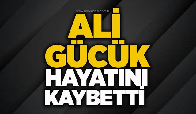 Gökçebey