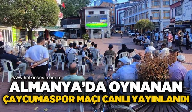 Spor