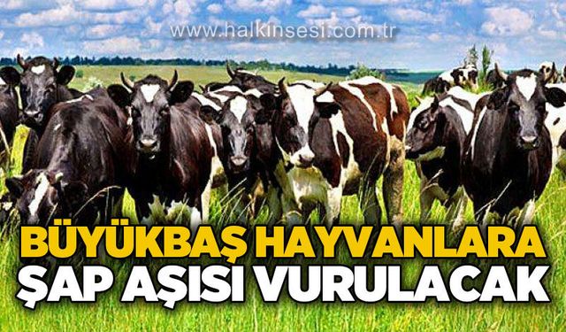 Gökçebey