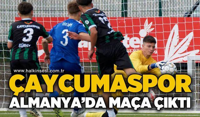 Spor