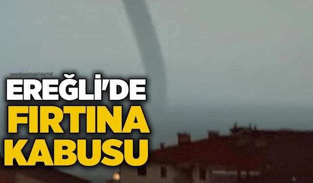 KDZ. Ereğli