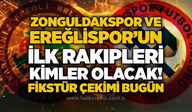Spor