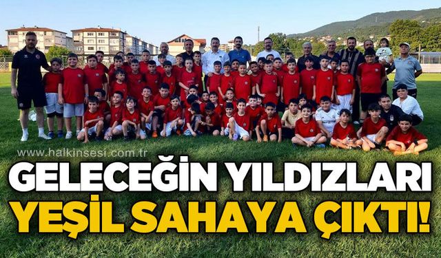 Spor