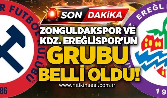 Spor