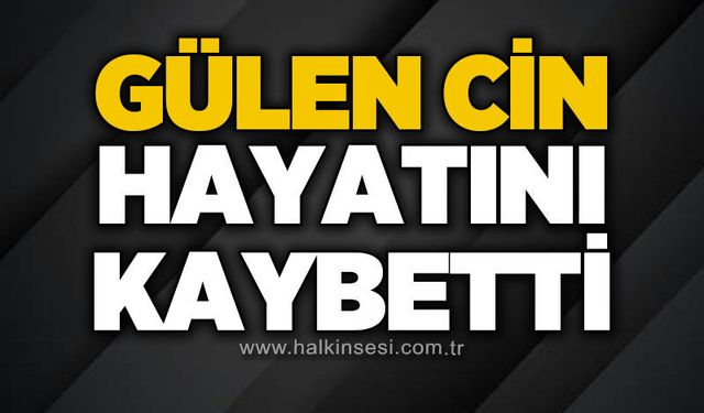 Devrek