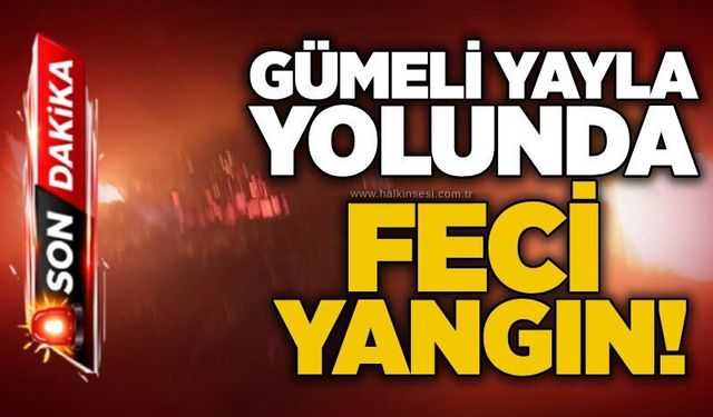 Gümeli yayla yolunda feci yangın!