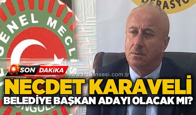 Necdet Karaveli Belediye Başkanı adayı olacak mı?