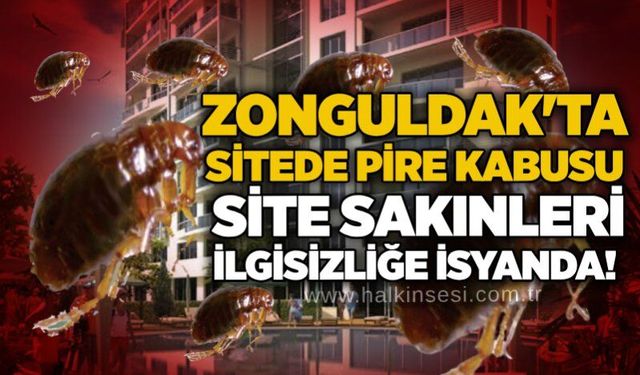 Zonguldak