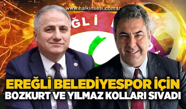 Spor
