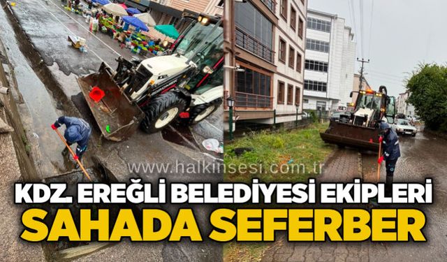 KDZ. Ereğli