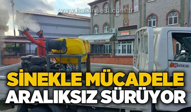 Gökçebey