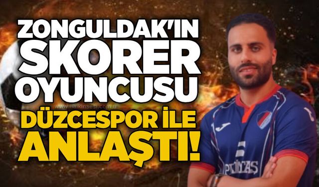 Spor