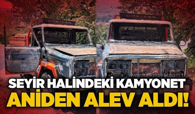 Seyir halindeki kamyonet aniden alev aldı!