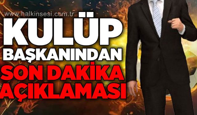 Spor