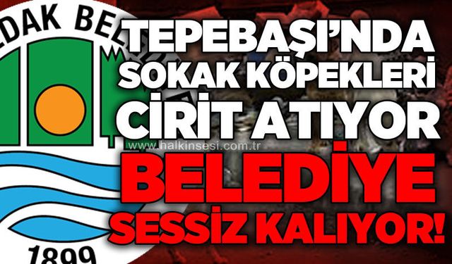 Zonguldak