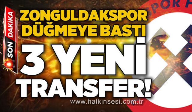 Spor