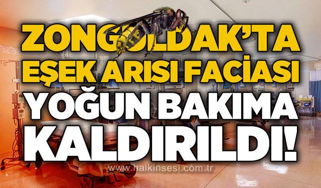 KDZ. Ereğli
