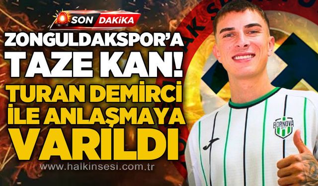 Spor