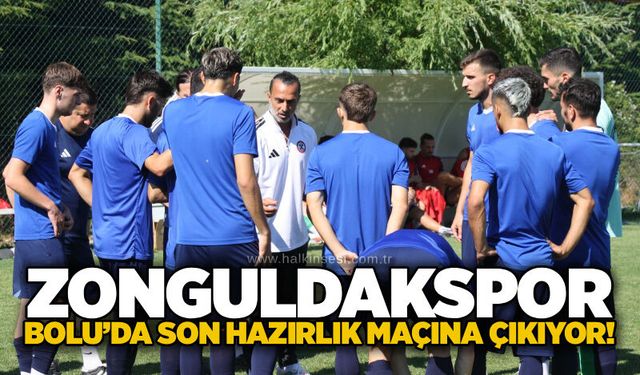 Spor