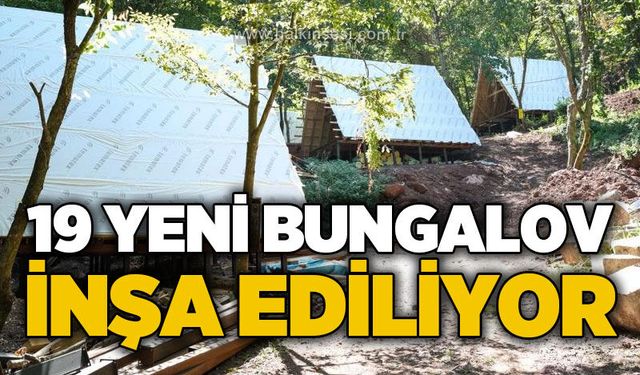 Düzce