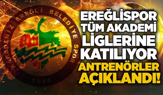 Spor