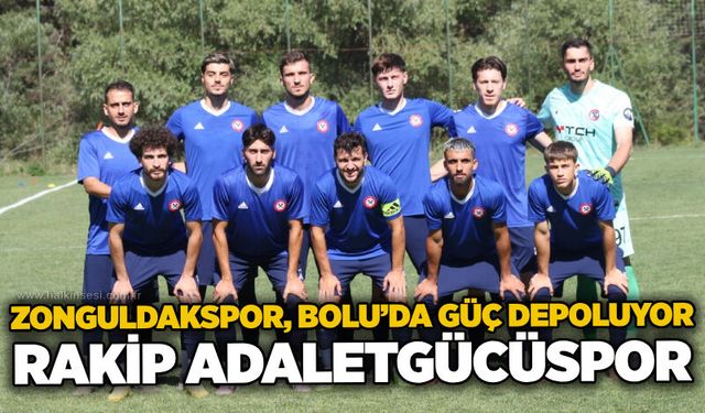 Spor