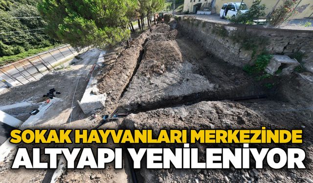 KDZ. Ereğli