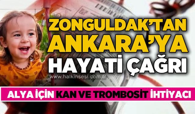 Zonguldak