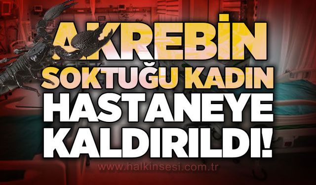 Kastamonu
