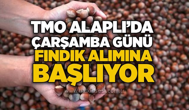 TMO Alaplı’da Çarşamba günü fındık alımına başlıyor