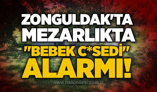 Zonguldak'ta mezarlıkta"bebek c*sedi" alarmı!