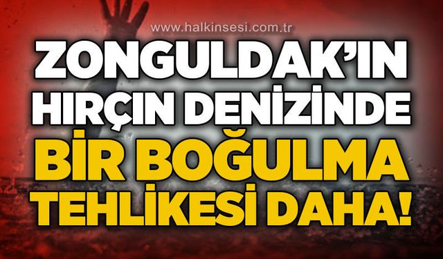 Spor