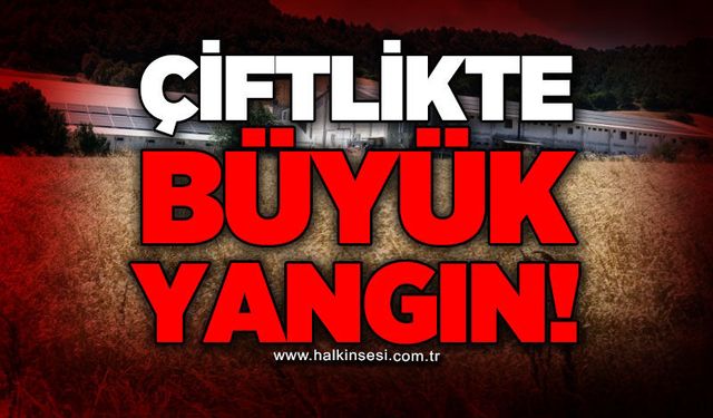 Çiftlikte yangın paniği: Ekipler hızlı müdahale etti